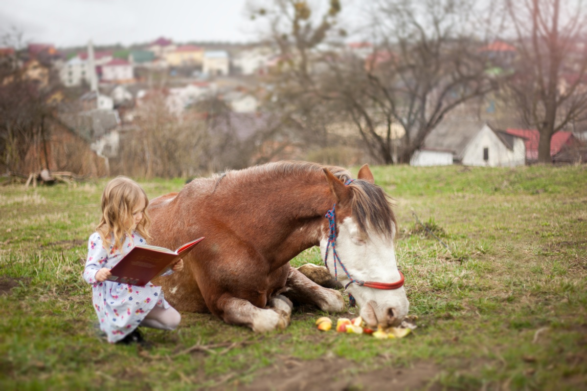 Кінний клуб «Темпо»