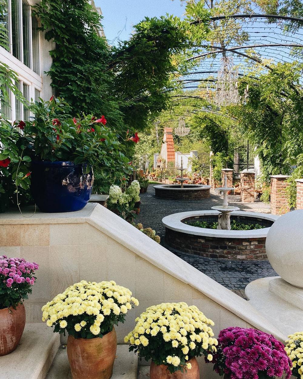 Ресторан «Babo Gardens»